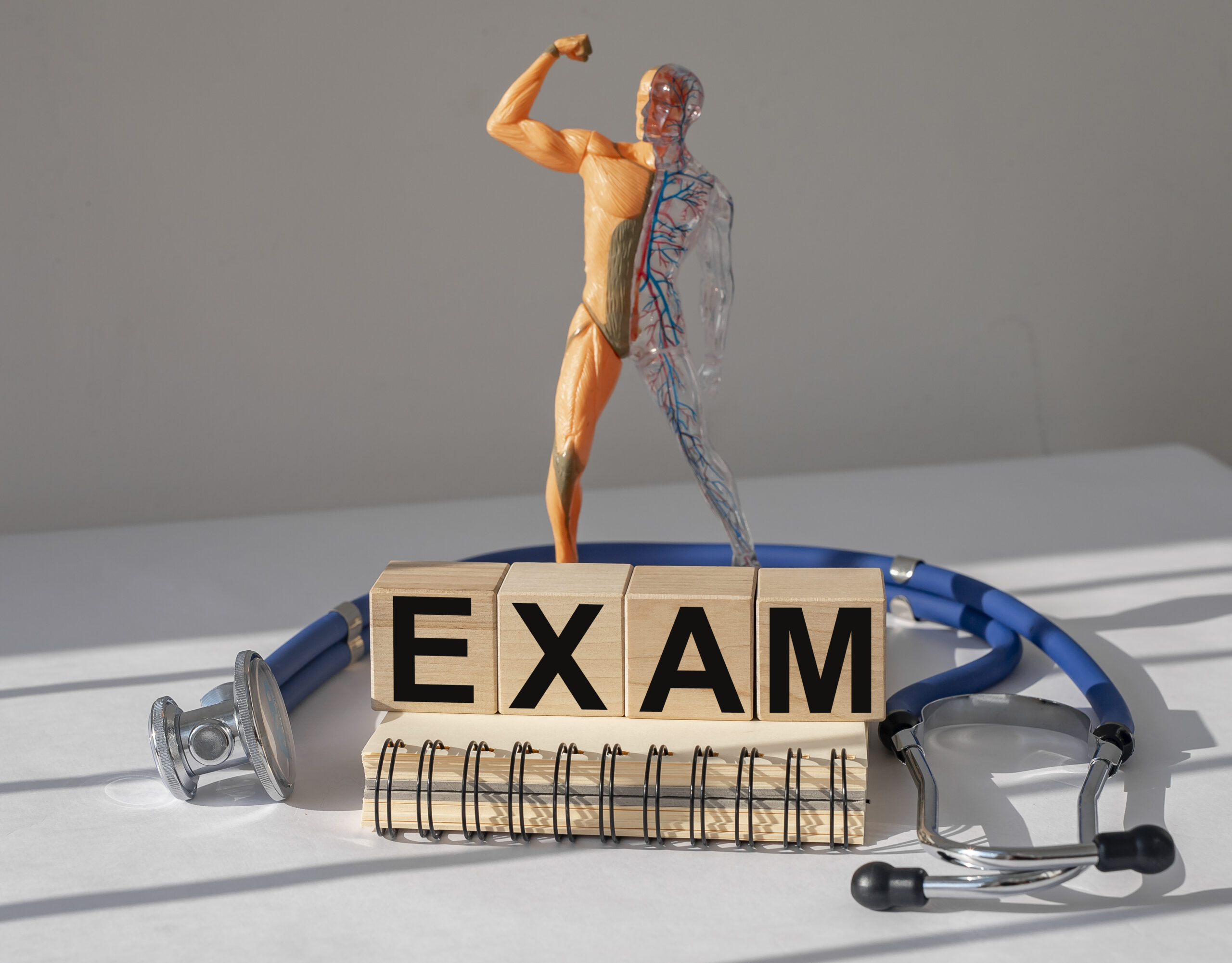 Doctor explaining importance of yearly health exams