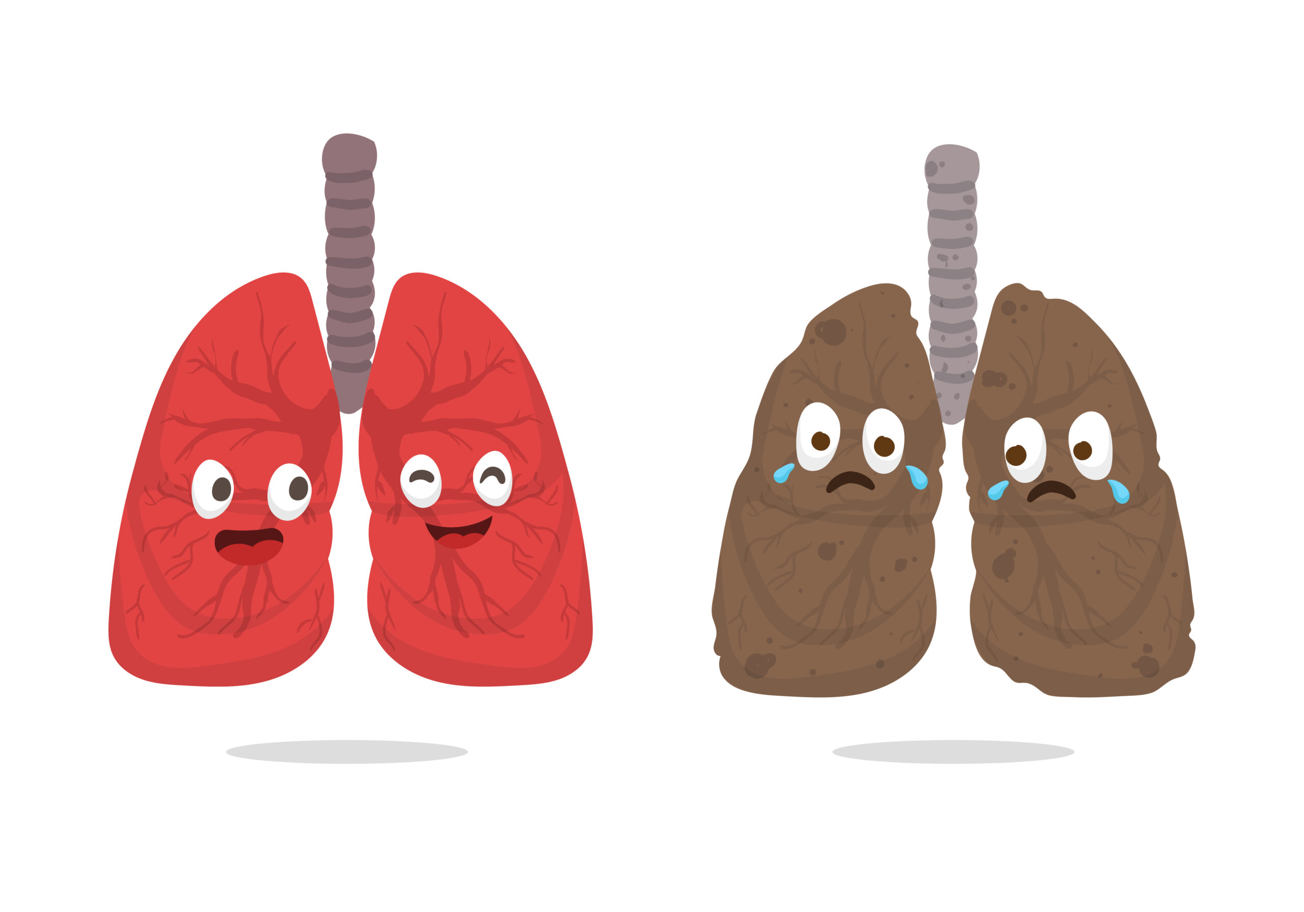 Healthy lung and smoker’s lung side-by-side