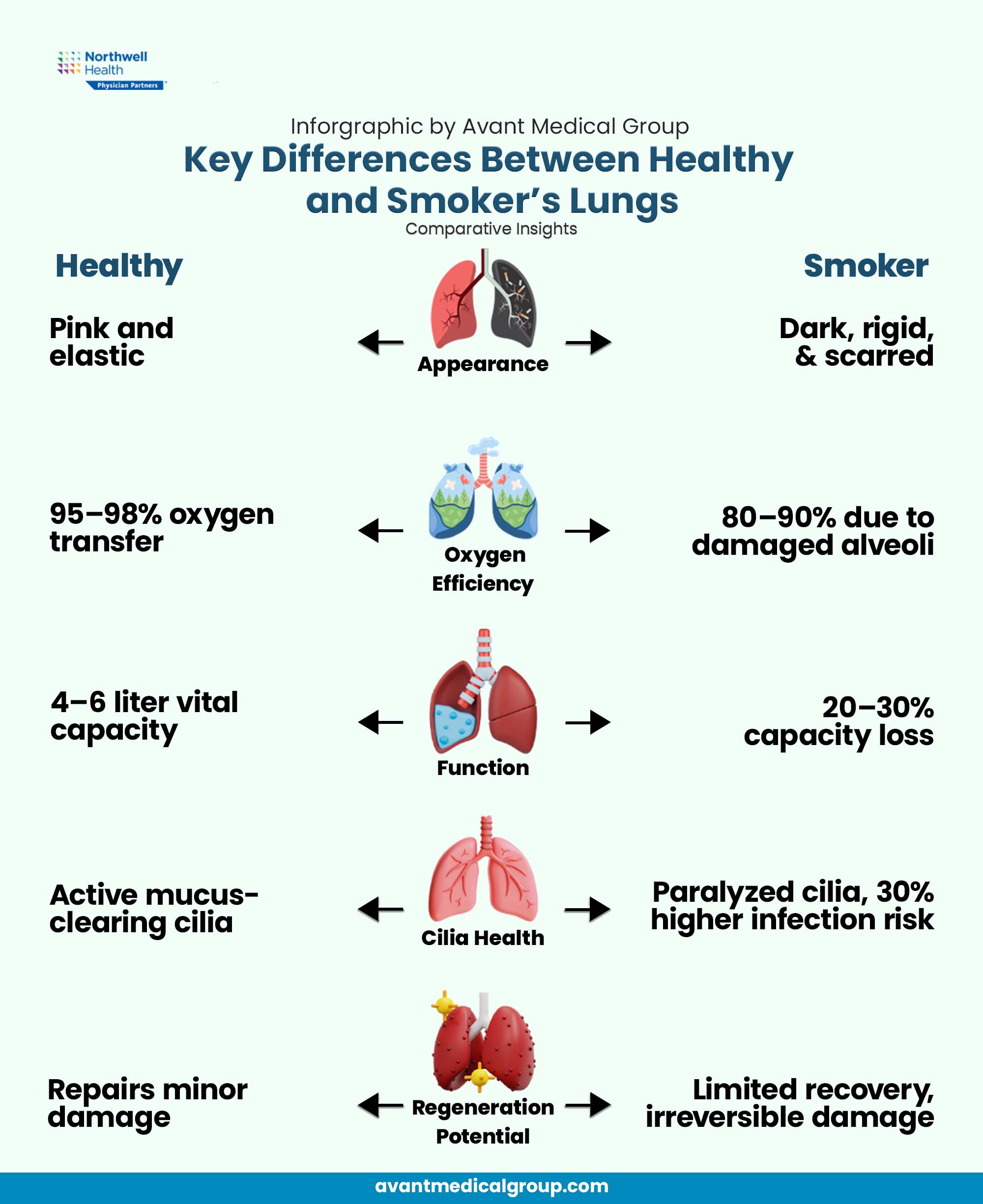 Healthy vs. smoker's lungs infographic comparing look, function, oxygen efficiency, cilia health, and regeneration.