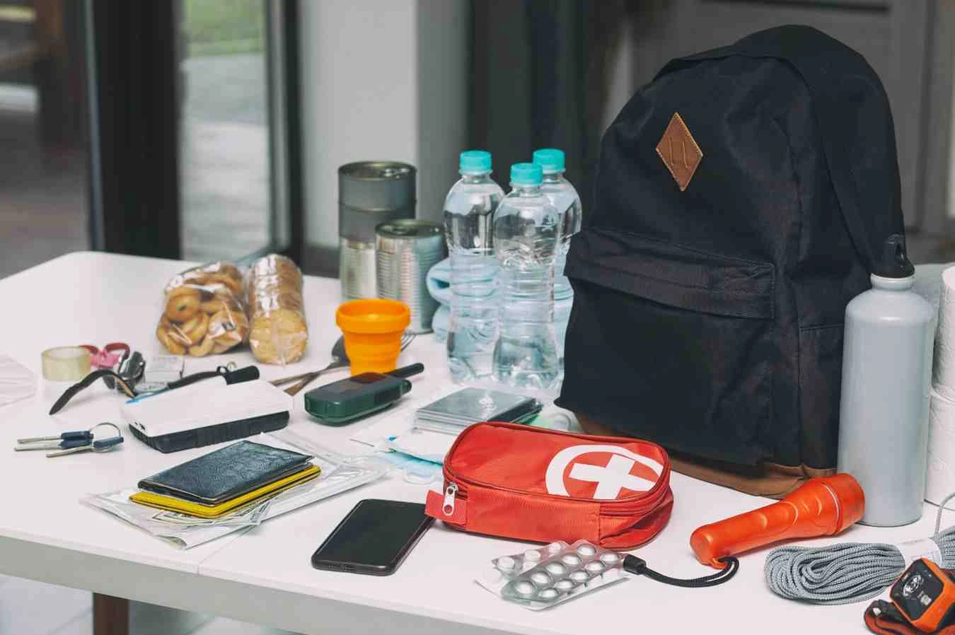 Essentials for pre-travel health consultations